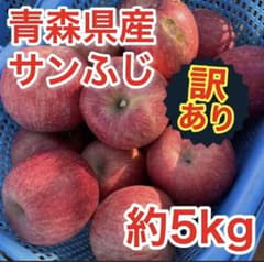 【訳あり】りんご サンふじ 約5kg 青森県産 減農薬のサムネイル