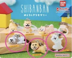 【未開封】SHIBANBAN めじるしアクセサリー〝３個セット〟のサムネイル