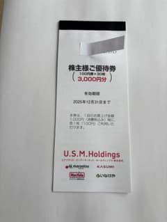 ユナイテッドスーパーマーケット USMH 株主優待券 3000円分 最新のサムネイル