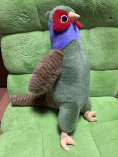 m22375459061_1.jpg?1762413123