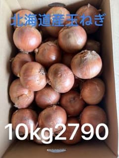 北海道産玉ねぎ 10kg 2790 訳ありじゃない とても綺麗な玉ねぎのサムネイル