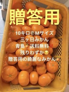 三ヶ日みかん　10キロ　贈答用のサムネイル