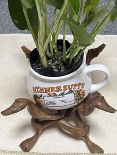 木製提物根付玉松銘蝙蝠彫刻木彫【MA900】 | Buyee日本代購服務