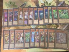 遊戯王 デッキパーツ　ドラゴンメイドのサムネイル