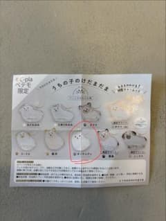 うちの子のけだまだま　ポメラニアンのサムネイル