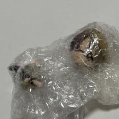 나토리 슈이치 피규어 치비 쿤 캐릭터 이치 반 쿠지 나츠메 친구장