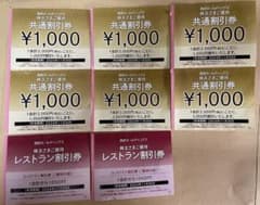 西武ホールディングス　共通割引券6000円分(1000円×6枚)のサムネイル