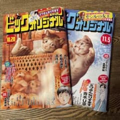 ビッグコミックオリジナル　  20.21セットのサムネイル
