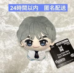TinyTAN DNA Chibigurumi V Tete BTS