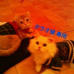 タラオ様 専用のサムネイル
