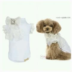 ForPetsOnly  フォーペッツオンリー  For Pets Onlyのサムネイル