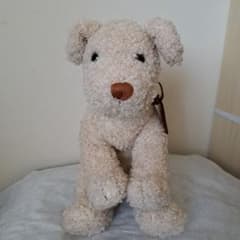 アフタヌーンティー　犬　レア　ぬいぐるみ　首輪付き　エアデールテリア　インテリア m22422603285_1.jpg?1727481207