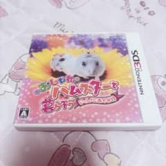 おしゃれにハムスターと暮らそう いっしょにおでかけ 3DS