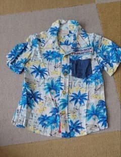 DADDY OH DADDY 半袖シャツ サイズ90 ヤシの木のサムネイル