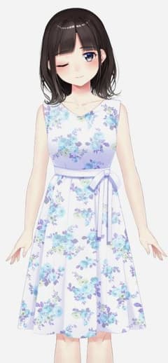 専用のサムネイル