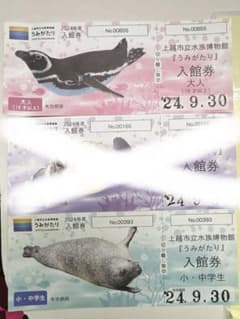 ののの様 うみがたり大人1枚、小学生1枚のサムネイル