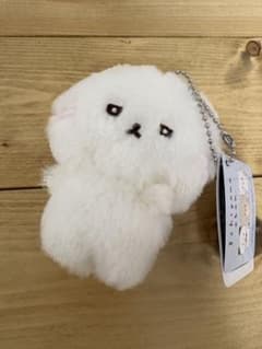 いしよわちゃん ボールチェーン付きぬいぐるみ 後輩ちゃん登場