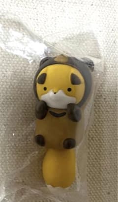 PUTITTO2 너구리와 여우 여우