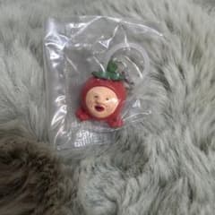 イチゴクレナイめじるしアクセサリー　こびとづかんのサムネイル