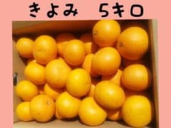 きよみ　農家直送　愛媛　5キロのサムネイル