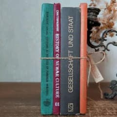 B486 古びた風合い お洒落な組み合わせ ヴィンテージ 洋書