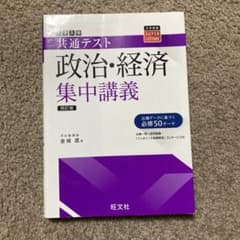 共通テスト 政治・経済 集中講義 四訂版のサムネイル