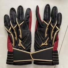 ミズノプロ バッティング手袋 中田翔モデル 25センチ - メルカリ