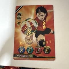 m22470114751_1.jpg?1747231069