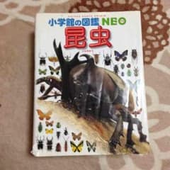 小学館の図鑑NEO 昆虫のサムネイル