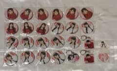 Aika Sano Birthday Celebration 2025 Sukikuji
