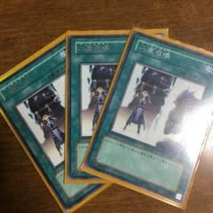 【無味さん専用】二重召喚 3枚のサムネイル