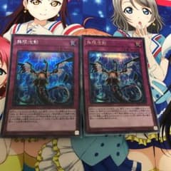 夢幻泡影 シク 2枚セットのサムネイル