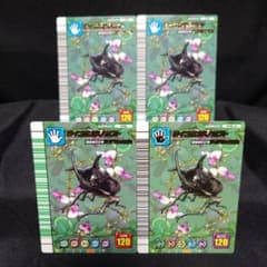 Thumbnail of ルビーカノプス様 リクエスト 3点 まとめ商品