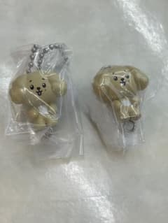 MINITEEN つまんでつなげてますこっと 2個セット ドア ドギョムのサムネイル