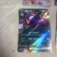 ポケモンカード モルペコex メガドリュウズex ラムパルドex ポケモンカード モルペコex メガドリュウズex ラムパルドex - メルカリ