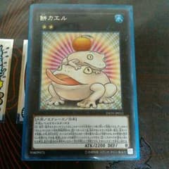 遊戯王　餅ガエルのサムネイル