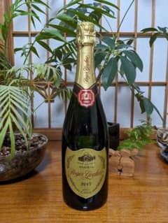 【送料込】2017年 ロジャーグラート カヴァ ゴールド ブリュット 750mlのサムネイル