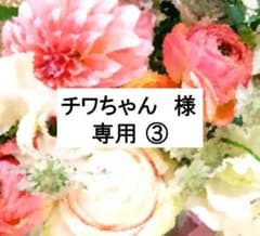 チワちゃん 様 専用③】DWE 2022年7月 最新版 フルセット 美品多数