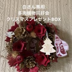 白さん専用　クリスマスプレゼントBOXのサムネイル