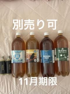 ドリームビア クラフトビール 飲み比べセット 4本セット ガス缶付き