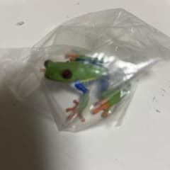 ガチャ　カエルのサムネイル