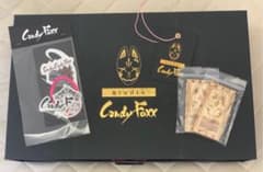 レア‼️【新品＊未開封】candy foxx グッズ パーカー Tシャツ セット