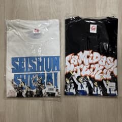青春襲来 Tシャツ白 L hamidasiteiku 黒 L 青春襲来 Tシャツ白 L hamidasiteiku 黒 L - メルカリ