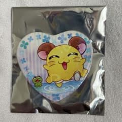 ハムタウンショップ　あめのひ　ちびまるちゃん　缶バッジのサムネイル