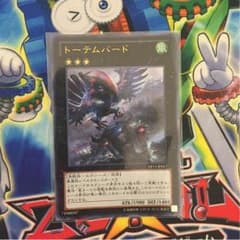 トーテムバードのサムネイル