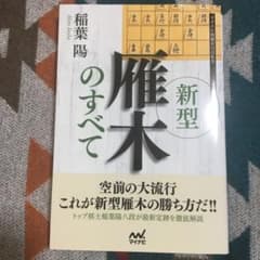 新型雁木のすべてのサムネイル