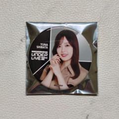 乃木坂46 42ndSGアンダーライブ 個別ランダム缶バッジ 柴田柚菜
