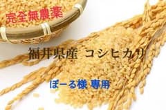ぽーる様 専用のサムネイル