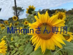 トレンチコートのサムネイル