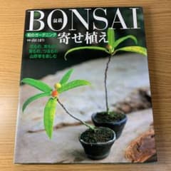 Bonsai(盆栽)寄せ植えのサムネイル